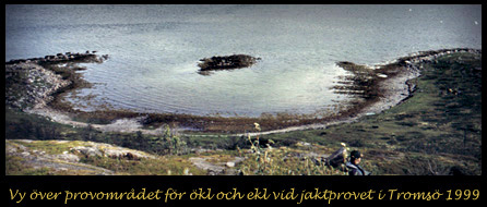 Vy över jaktprovsområdet i Tromsö